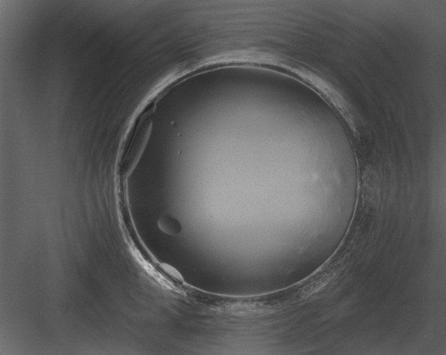 X0000084010998200702232159