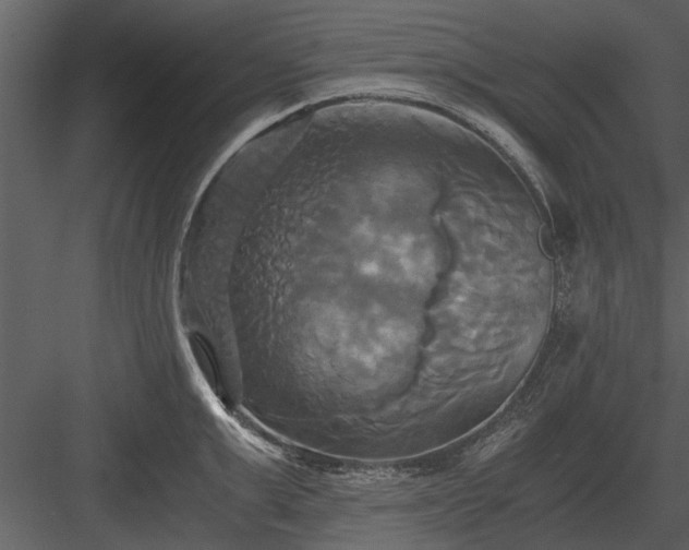 X0000084010999200702232159