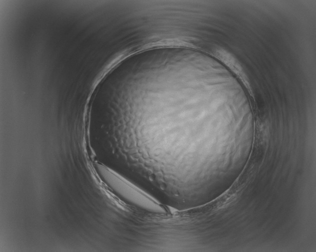 X0000084011002200702232159