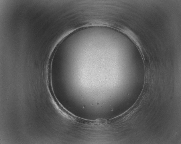 X0000084011003200702232159