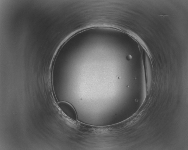 X0000084011004200702232159