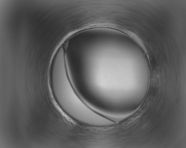 X0000084011005200702232159