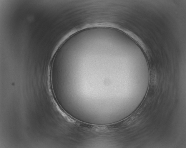 X0000084011006200702232159