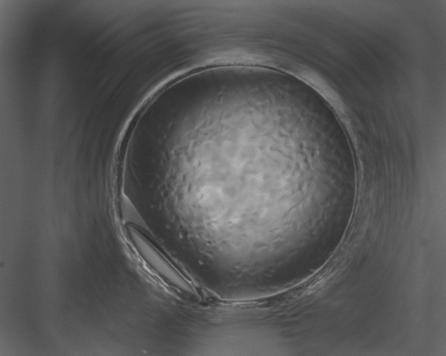 X0000084011008200702232159