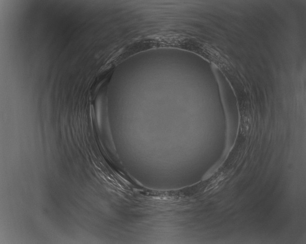 X0000084011010200702232158