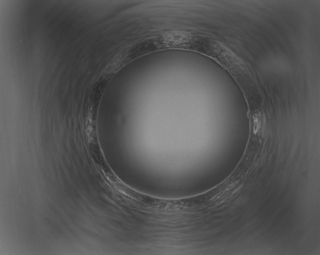 X0000084011011200702232158