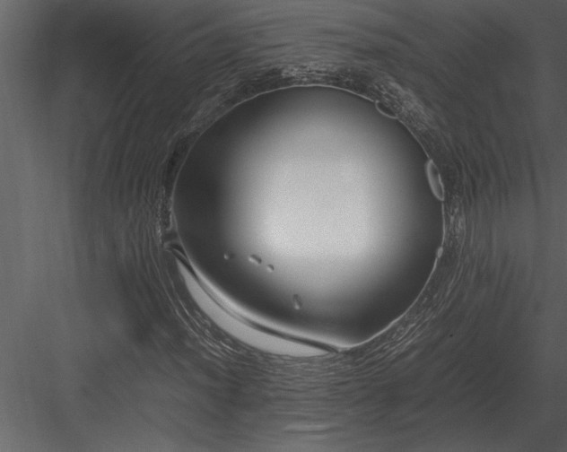 X0000084011012200702232158