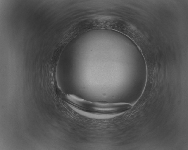 X0000084011013200702232158