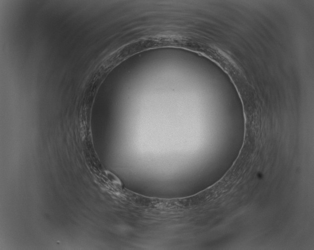 X0000084011015200702232158