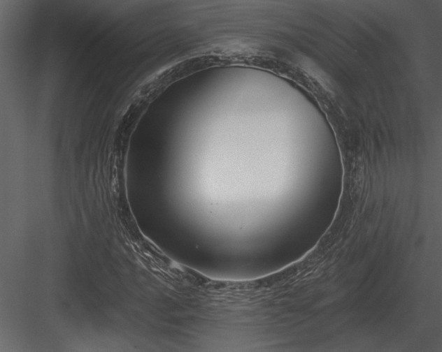 X0000084011016200702232158