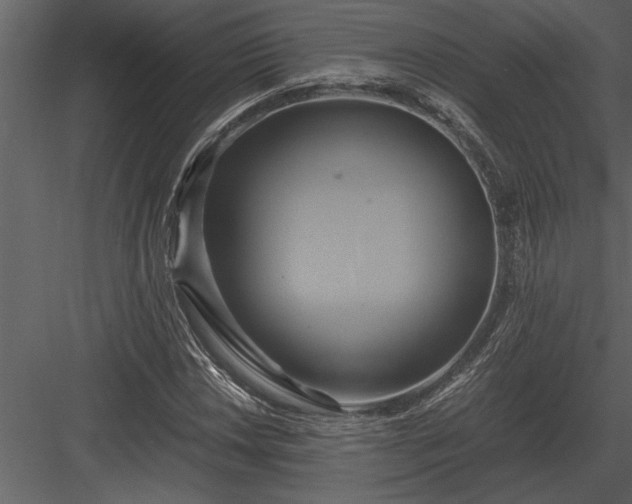 X0000084011018200702232158