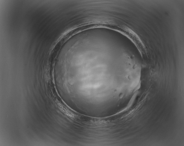 X0000084011019200702232158