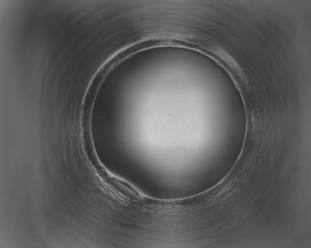 X0000084011020200702232158