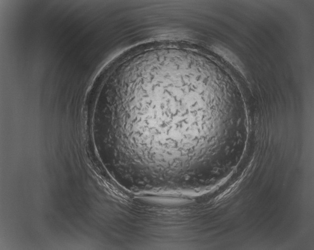 X0000084011021200702232158