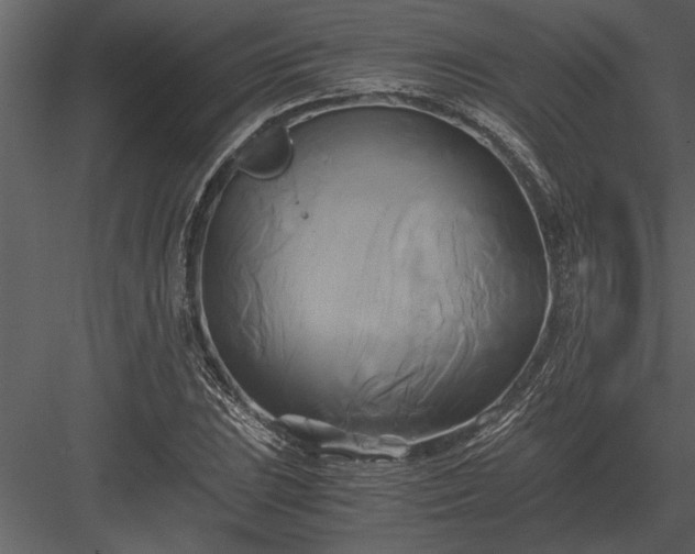 X0000084011023200702232158