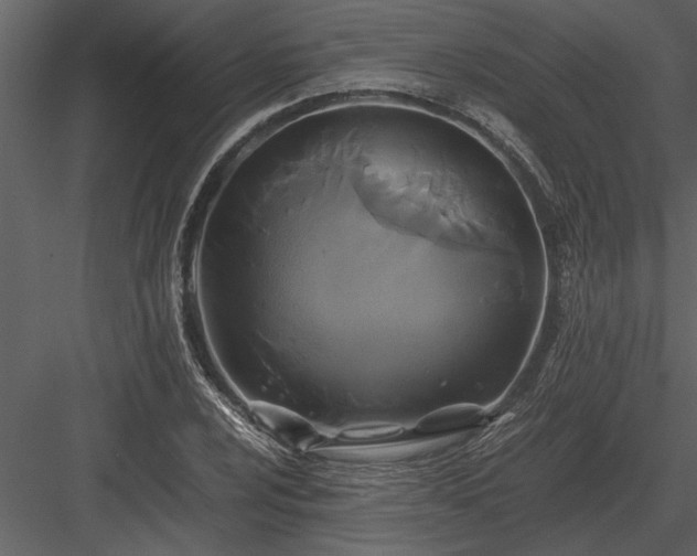 X0000084011024200702232158