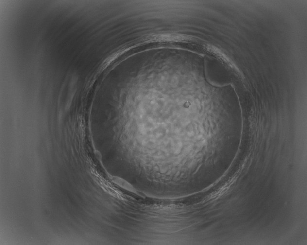 X0000084011025200702232158