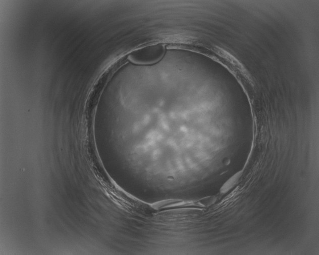 X0000084011027200702232158