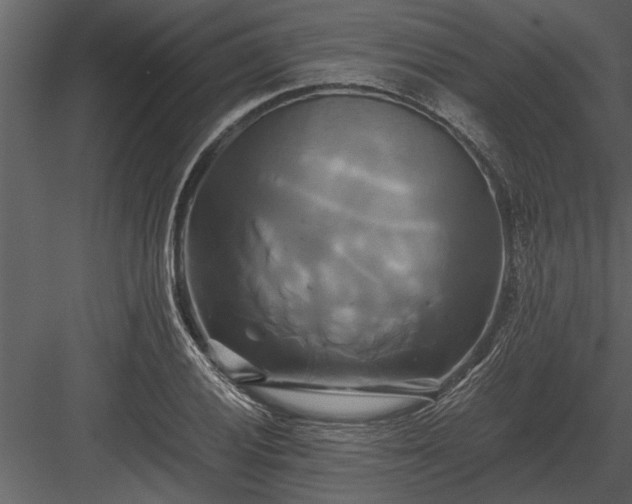 X0000084011028200702232158