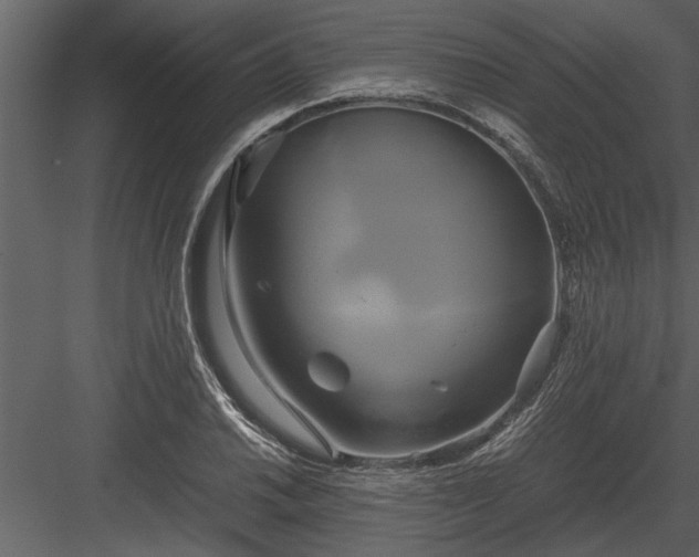 X0000084011030200702232159