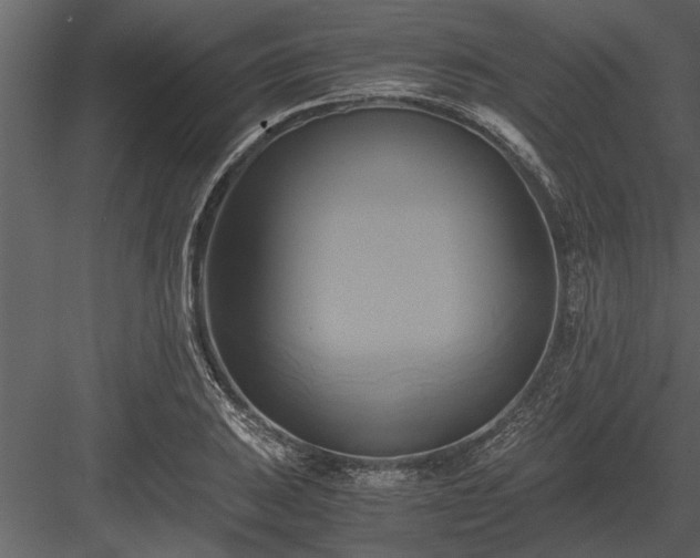 X0000084011031200702232159