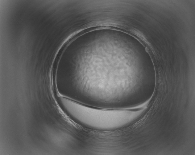 X0000084011032200702232159