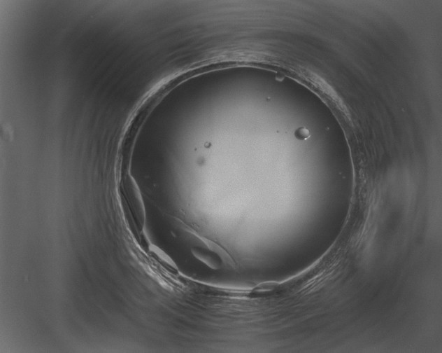 X0000084011035200702232159