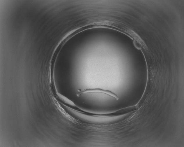 X0000084011036200702232159