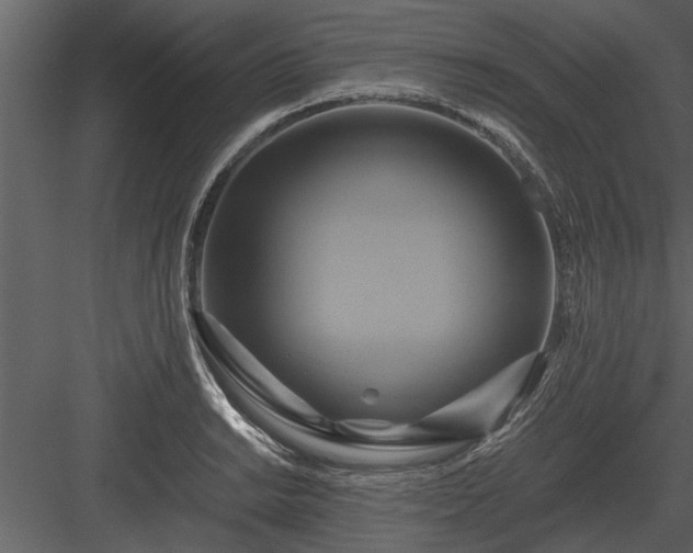 X0000084011038200702232159