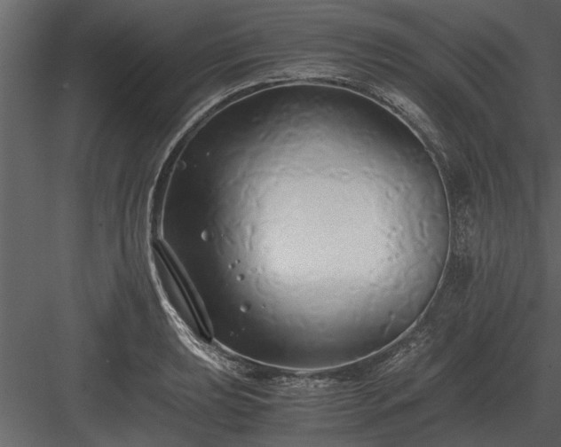 X0000084011039200702232159