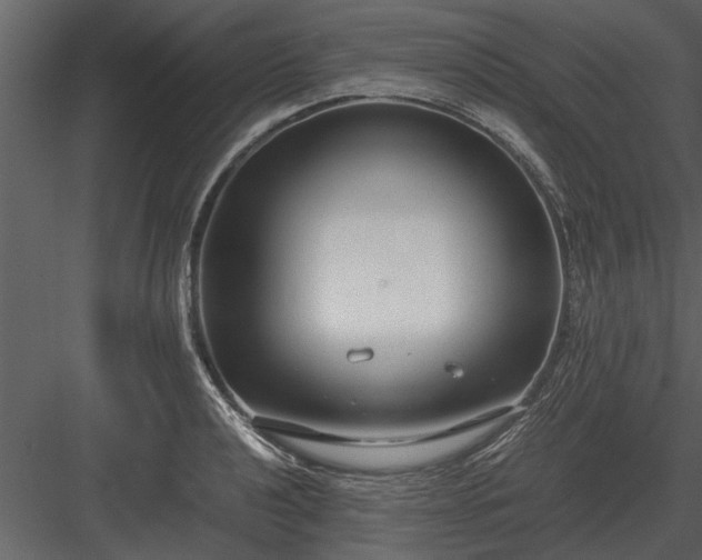 X0000084011040200702232159