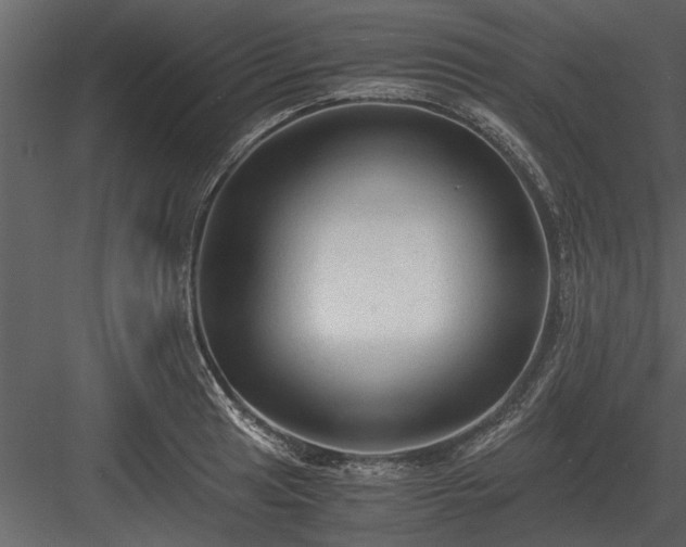 X0000084011041200702232159