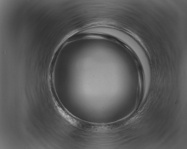 X0000084011042200702232159