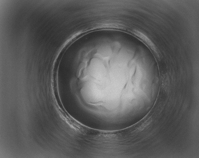 X0000084011043200702232159