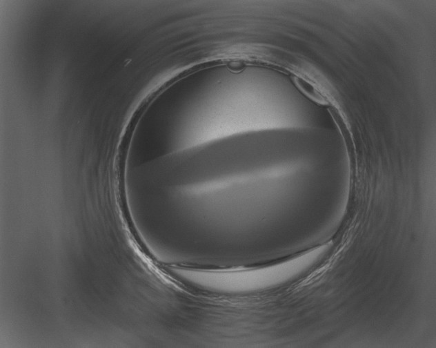 X0000084011045200702232159