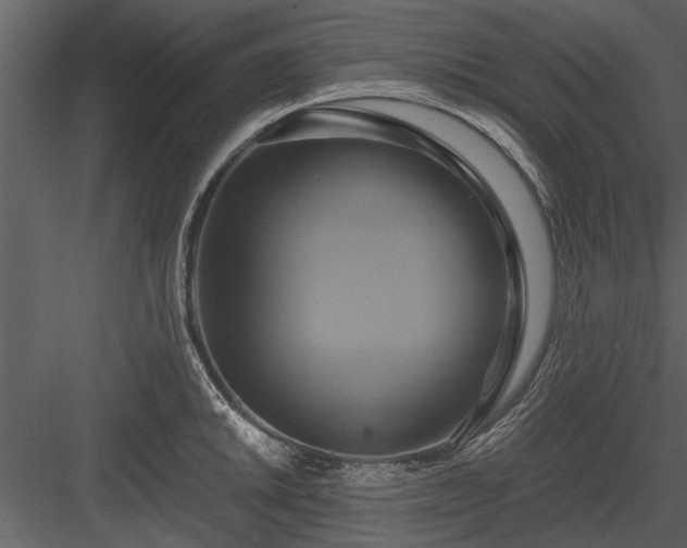 X0000084011046200702232159