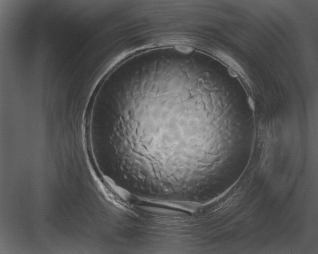 X0000084011047200702232159