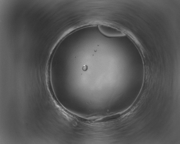 X0000084011048200702232159