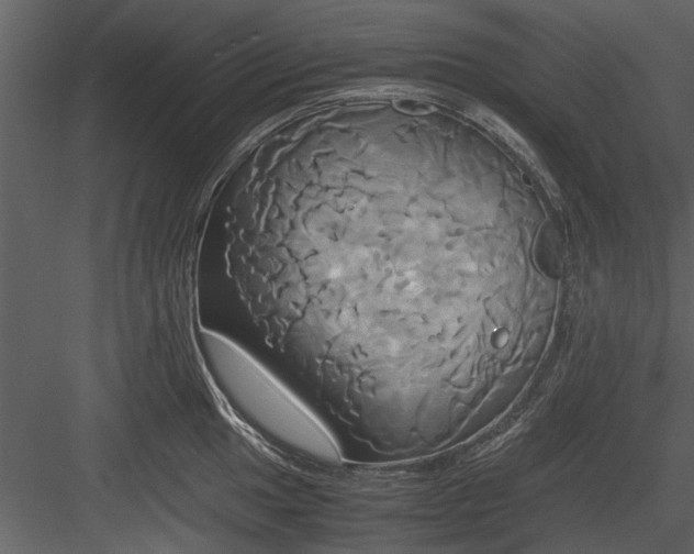 X0000084011049200702232159