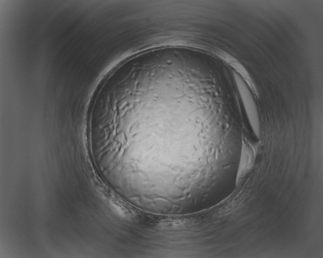 X0000084011051200702232159