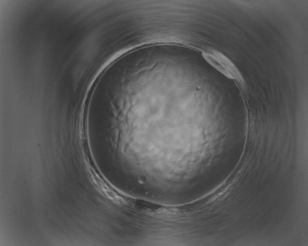 X0000084011052200702232159