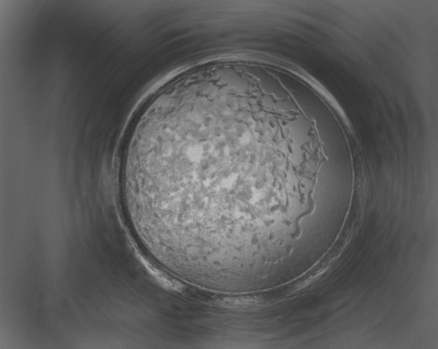 X0000084011053200702232159