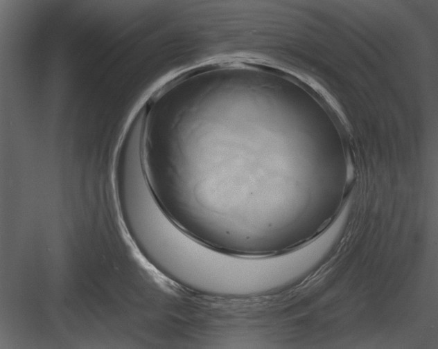 X0000084011054200702232159