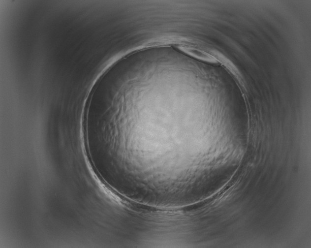 X0000084011055200702232159