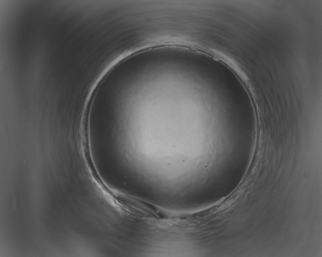 X0000084011056200702232159