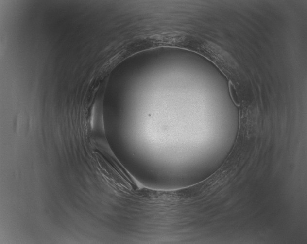 X0000084011058200702232158