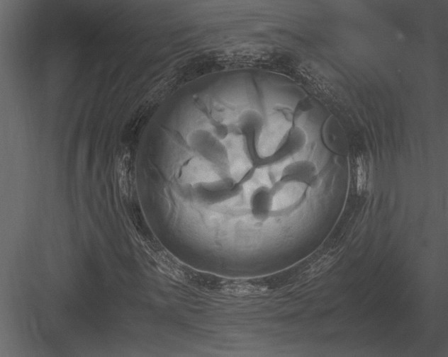 X0000084011059200702232158