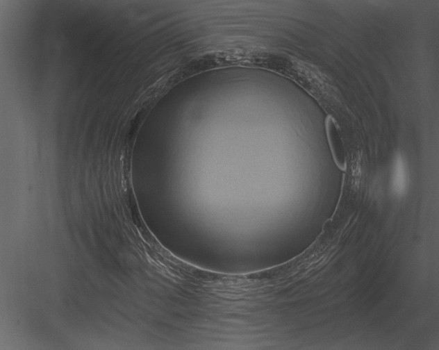 X0000084011060200702232158