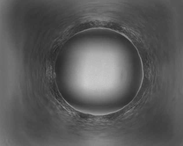 X0000084011061200702232158