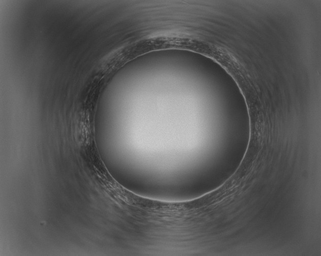 X0000084011062200702232158